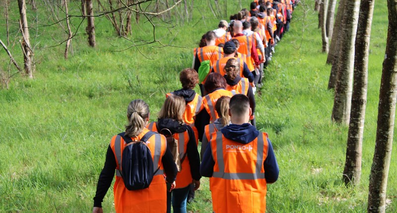 Vermoil walk unveils new JRP project for 2025